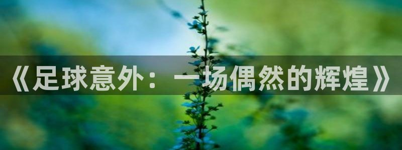 《足球意外：一场偶然的辉煌》