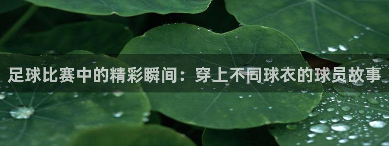  足球比赛中的精彩瞬间：穿上不同球衣的球员故事