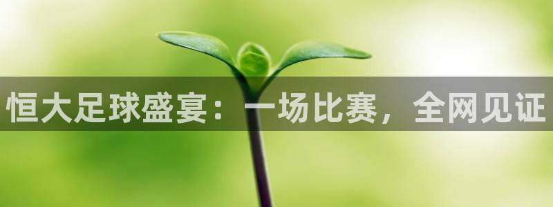  恒大足球盛宴：一场比赛，全网见证