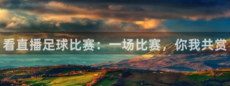 看直播足球比赛：一场比赛，你我共赏