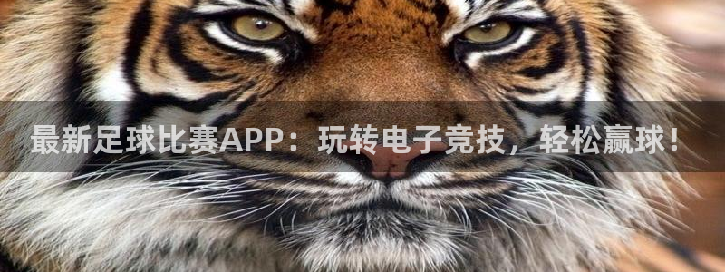  最新足球比赛APP：玩转电子竞技，轻松赢球！