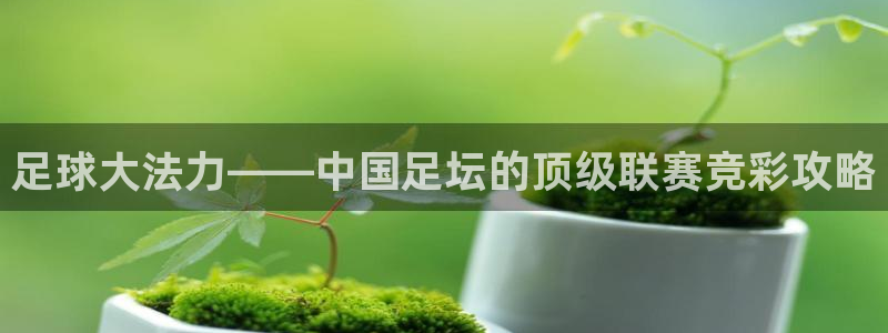 足球大法力——中国足坛的顶级联赛竞彩攻略