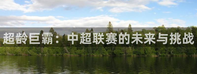 超龄巨霸：中超联赛的未来与挑战