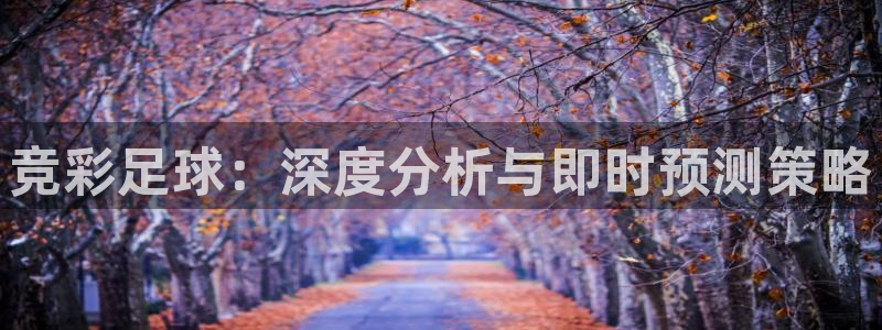  竞彩足球：深度分析与即时预测策略