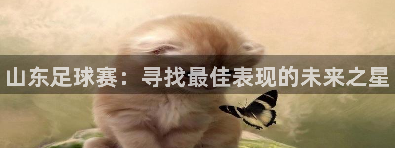  山东足球赛：寻找最佳表现的未来之星