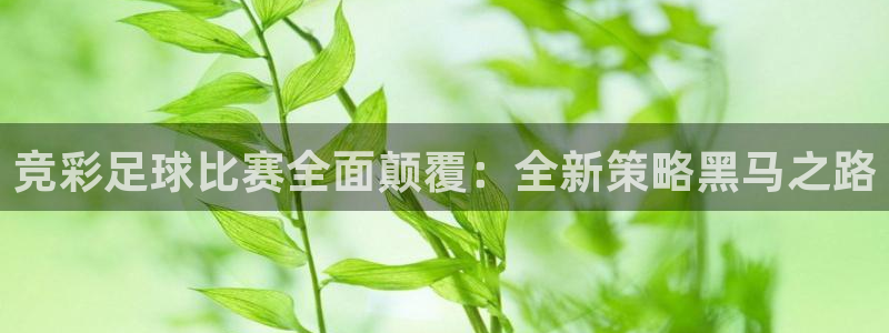 竞彩足球比赛全面颠覆：全新策略黑马之路