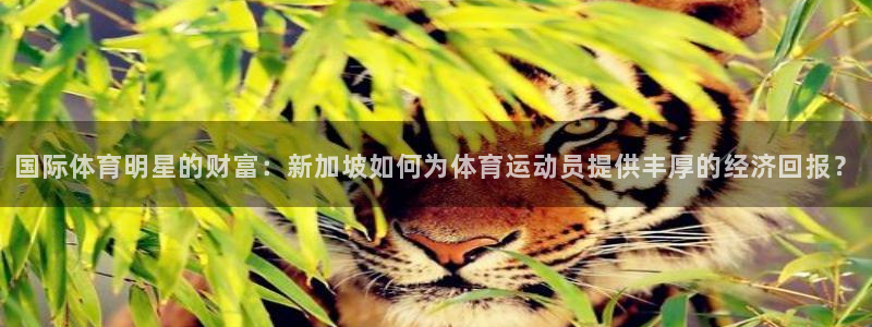 米兰体育下载：国际体育明星的财富：新加坡如何为体育运动员提供丰厚的经济回报？