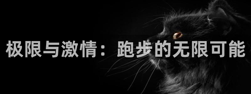 米兰体育网站：极限与激情：跑步的无限可能