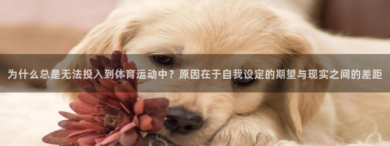 米兰体育入口：为什么总是无法投入到体育运动中？原因在于自我设定的期望与现实之间的差距