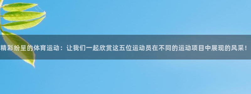 米兰体育最新版下载：精彩纷呈的体育运动：让我们一起欣赏这五位运动员在不同的运动项目中展现的风采！