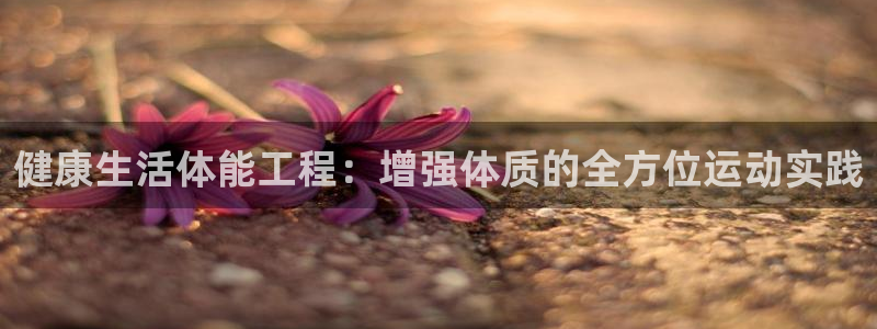 米兰体育报官网：健康生活体能工程：增强体质的全方位运动实践