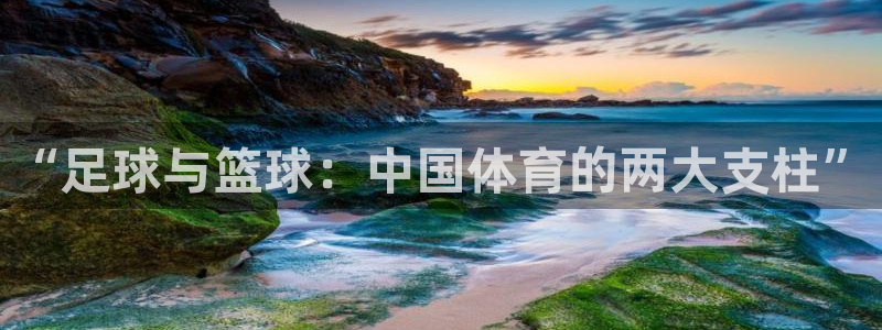 米兰体育中心：“足球与篮球：中国体育的两大支柱”