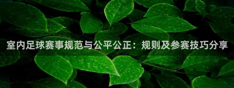 室内足球赛事规范与公平公正：规则及参