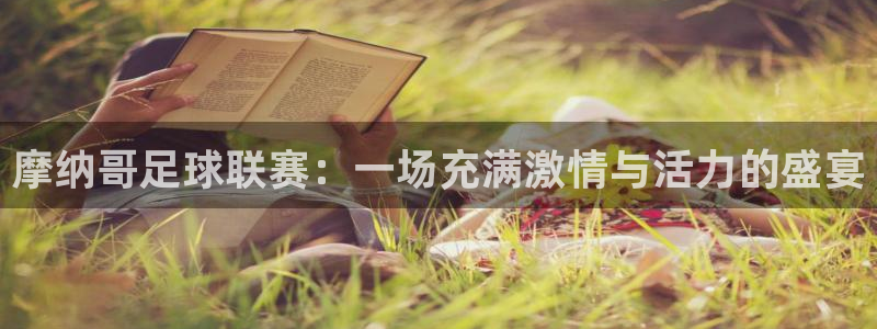 摩纳哥足球联赛：一场充满激情与活力的