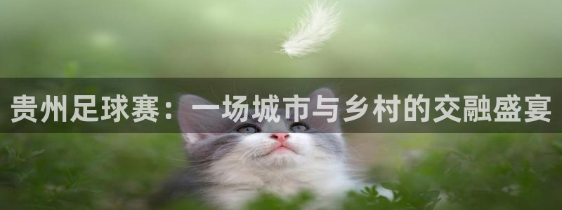 贵州足球赛：一场城市与乡村的交融盛宴