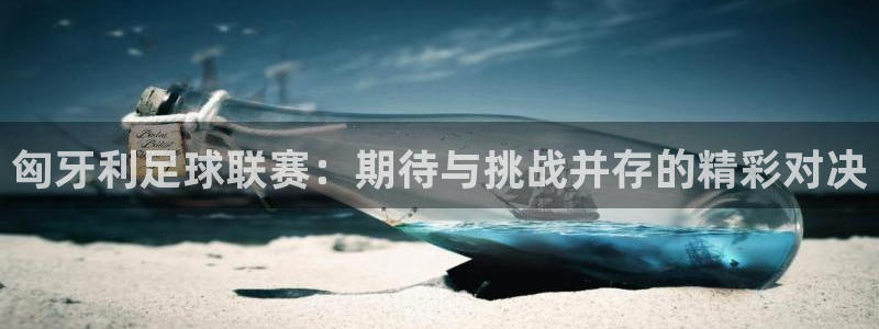 匈牙利足球联赛：期待与挑战并存的精彩