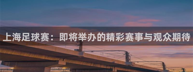 上海足球赛：即将举办的精彩赛事与观众