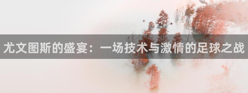 尤文图斯的盛宴：一场技术与激情的足球