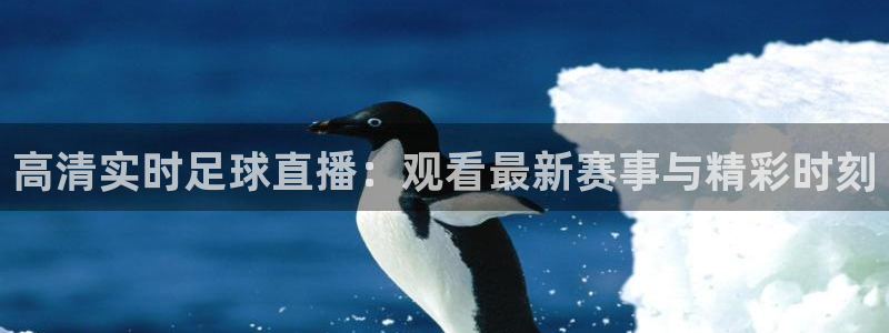 高清实时足球直播：观看最新赛事与精彩时刻