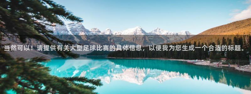 当然可以！请提供有关大型足球比赛的具体信息，以便我为您生成一