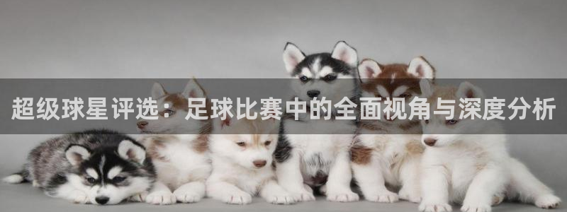 超级球星评选：足球比赛中的全面视角与深度分析