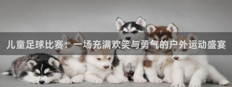  儿童足球比赛：一场充满欢笑与勇气的户外运动盛宴