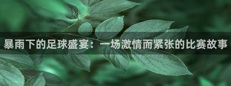 暴雨下的足球盛宴：一场激情而紧张的比