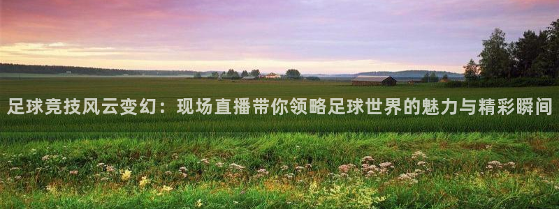 足球竞技风云变幻：现场直播带你领略足