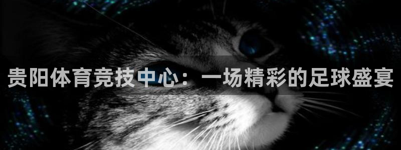 贵阳体育竞技中心：一场精彩的足球盛宴