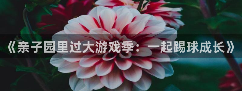 《亲子园里过大游戏季：一起踢球成长》