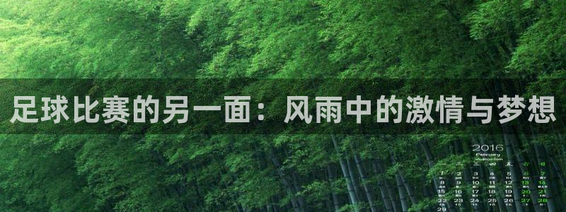 足球比赛的另一面：风雨中的激情与梦想