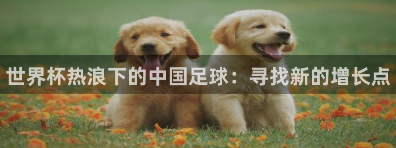 世界杯热浪下的中国足球：寻找新的增长