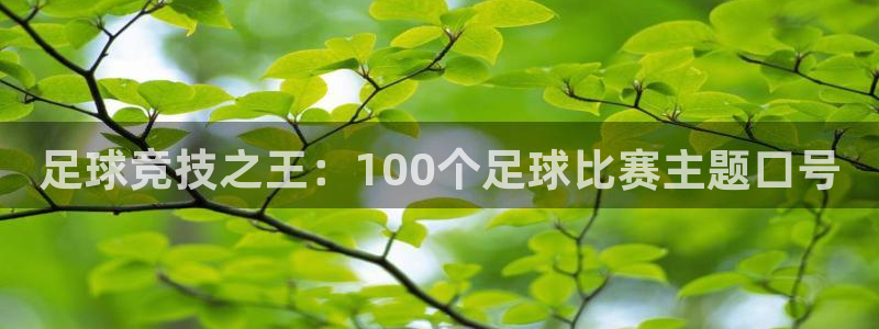 足球竞技之王：100个足球比赛主题口